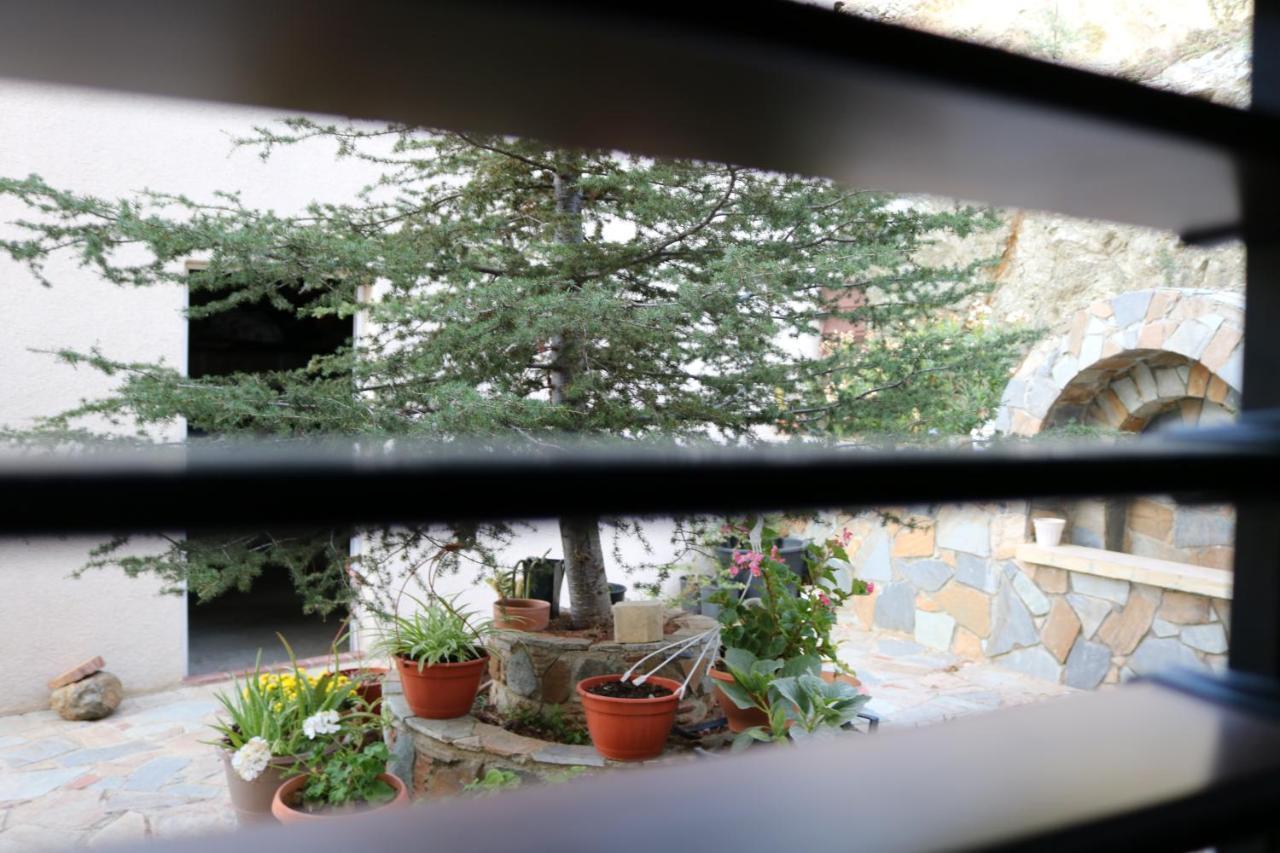Georgiou Villa In Action Pelendri Buitenkant foto